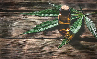 picnic bench with bottle and leaves