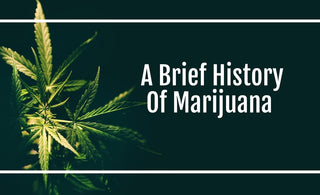 A Brief History Of Marijuana