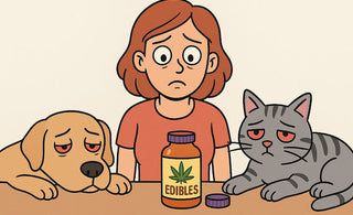 Why is it Dangerous for Pets to Get High?