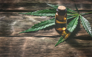 Weedgets What is CBD and How is it Healthy Blog