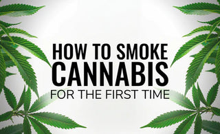 How To Smoke Cannabis for the First Time
