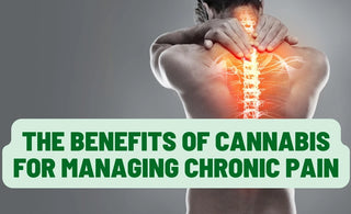 The Benefits of Cannabis for Managing Chronic Pain