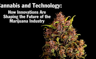 How innovations are shaping the future of the marijuana industry