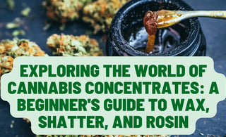 Cannabis Concentrates: Beginner's guide to wax, shatter, & rosin